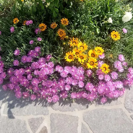 Montegrappa Bed & Breakfast